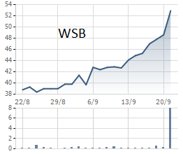  Diễn biến giao dịch WSB trong 1 tháng qua 